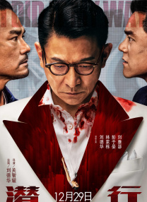 日韩激情视频在线观看